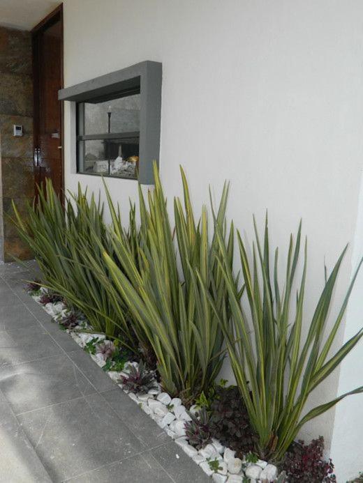 Apartamento Erita Lägenhet Alicante Exteriör bild